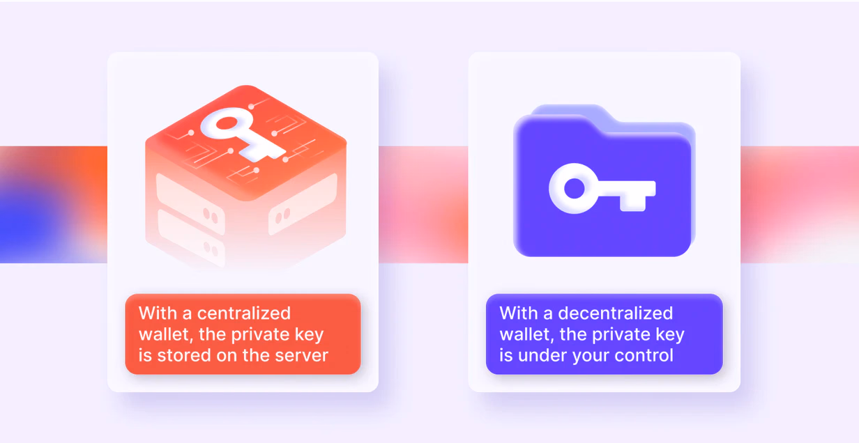 What are Centralized and Decentralized Wallets?