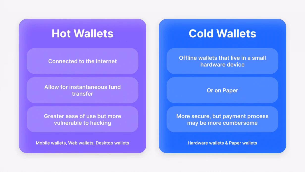 Crypto Hardware Wallet vs. Software Wallet