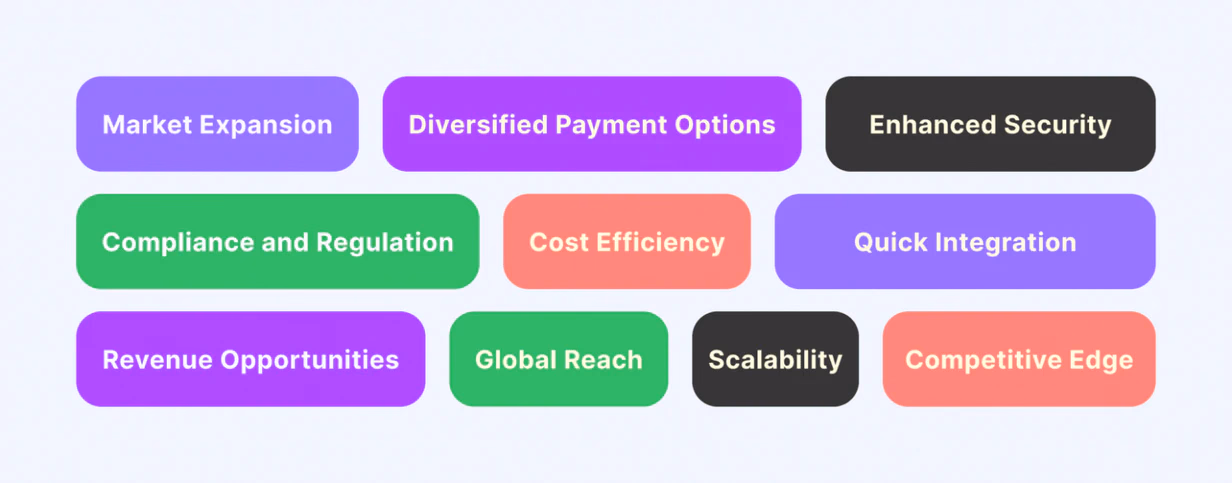 why PSPs should use crypto payment processors